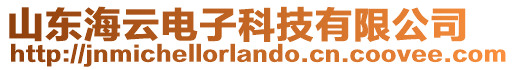 山東海云電子科技有限公司