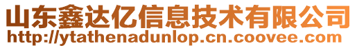 山東鑫達億信息技術有限公司
