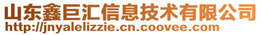 山東鑫巨匯信息技術(shù)有限公司