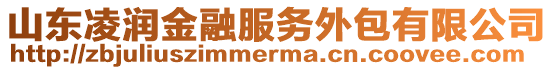 山東凌潤金融服務(wù)外包有限公司