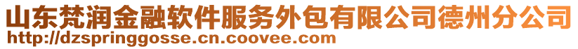 山東梵潤金融軟件服務(wù)外包有限公司德州分公司