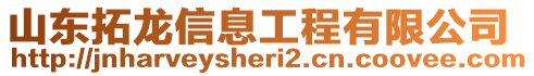 山東拓龍信息工程有限公司