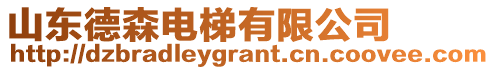 山東德森電梯有限公司