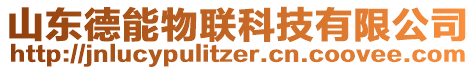 山東德能物聯(lián)科技有限公司