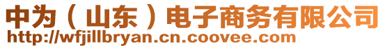 中為（山東）電子商務(wù)有限公司