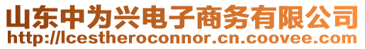山東中為興電子商務有限公司