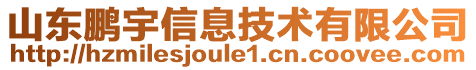 山東鵬宇信息技術(shù)有限公司