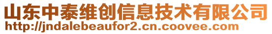 山東中泰維創(chuàng)信息技術有限公司