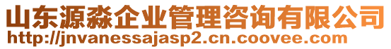 山東源淼企業(yè)管理咨詢有限公司