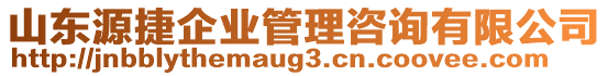 山東源捷企業(yè)管理咨詢有限公司