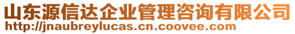 山東源信達企業(yè)管理咨詢有限公司