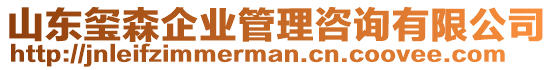 山東璽森企業(yè)管理咨詢有限公司