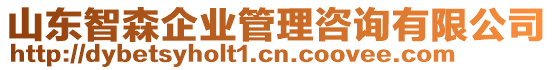 山東智森企業(yè)管理咨詢有限公司