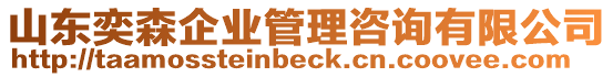 山東奕森企業(yè)管理咨詢有限公司