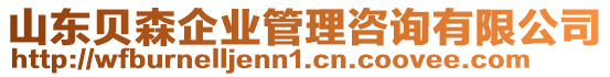 山東貝森企業(yè)管理咨詢有限公司