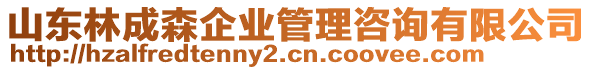 山東林成森企業(yè)管理咨詢有限公司