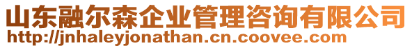 山東融爾森企業(yè)管理咨詢有限公司