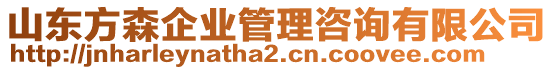 山東方森企業(yè)管理咨詢有限公司