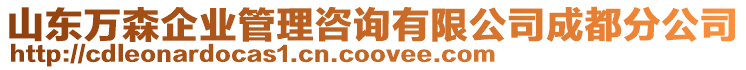 山東萬森企業(yè)管理咨詢有限公司成都分公司