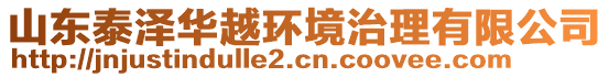 山東泰澤華越環(huán)境治理有限公司