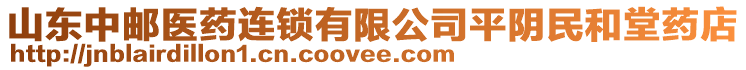 山東中郵醫(yī)藥連鎖有限公司平陰民和堂藥店