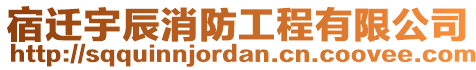 宿遷宇辰消防工程有限公司