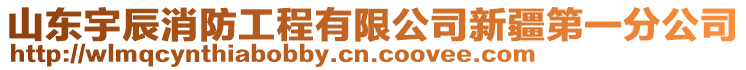 山東宇辰消防工程有限公司新疆第一分公司