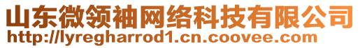 山東微領(lǐng)袖網(wǎng)絡(luò)科技有限公司