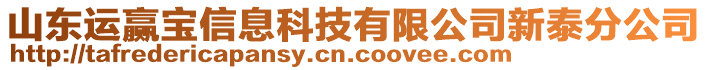 山東運(yùn)贏寶信息科技有限公司新泰分公司