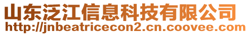 山東泛江信息科技有限公司