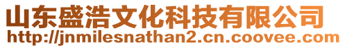 山東盛浩文化科技有限公司