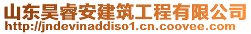 山東昊睿安建筑工程有限公司