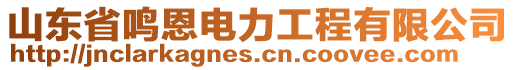 山東省鳴恩電力工程有限公司