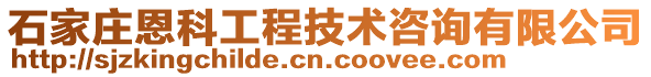 石家莊恩科工程技術(shù)咨詢有限公司
