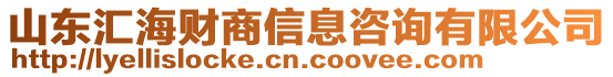 山東匯海財商信息咨詢有限公司