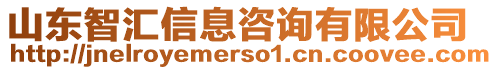 山東智匯信息咨詢有限公司