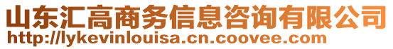 山東匯高商務(wù)信息咨詢有限公司