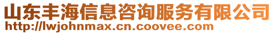 山東豐海信息咨詢服務(wù)有限公司