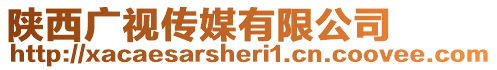 陜西廣視傳媒有限公司