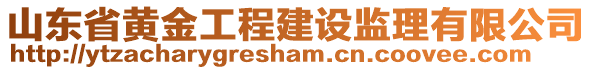 山東省黃金工程建設(shè)監(jiān)理有限公司