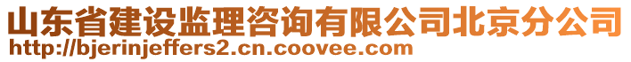 山東省建設監理咨詢有限公司北京分公司