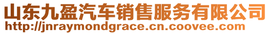 山東九盈汽車銷售服務(wù)有限公司