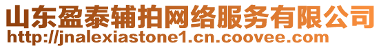 山東盈泰輔拍網(wǎng)絡(luò)服務(wù)有限公司