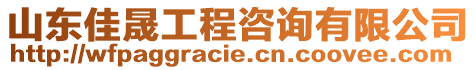 山東佳晟工程咨詢有限公司