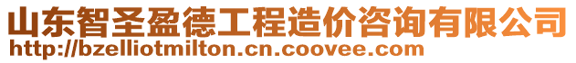 山東智圣盈德工程造價咨詢有限公司