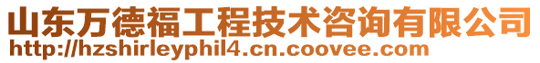 山東萬德福工程技術(shù)咨詢有限公司