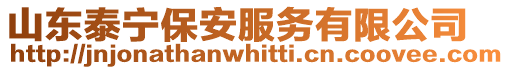 山東泰寧保安服務有限公司