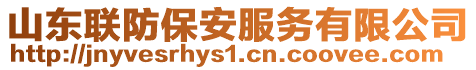 山東聯(lián)防保安服務(wù)有限公司