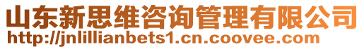 山東新思維咨詢管理有限公司