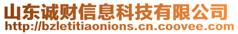 山東誠財信息科技有限公司